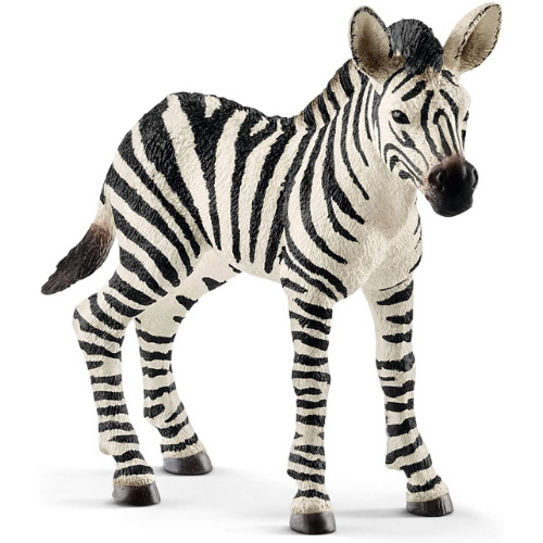 Schleich Zebra Foal-Southern Agriculture
