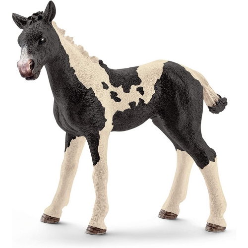 Schleich Pinto Foal-Southern Agriculture