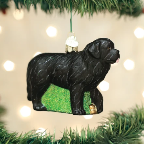 Old World Christmas Newfoundland Ornament-Southern Agriculture