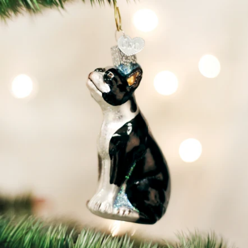 Old World Christmas Boston Terrier Ornament-Southern Agriculture