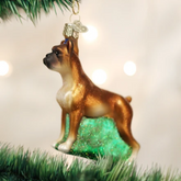 Old World Christmas Boxer Ornament-Southern Agriculture