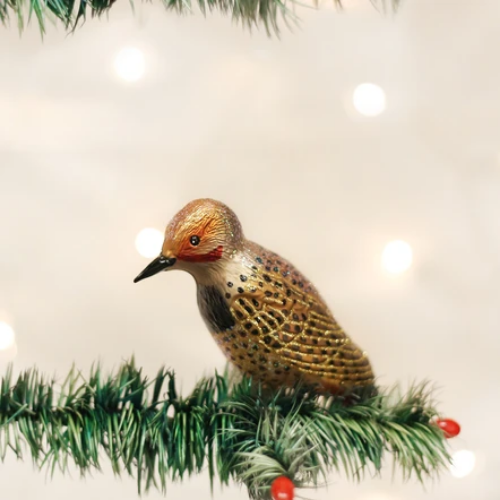 Old World Christmas Northern Flicker Ornament-Southern Agriculture