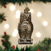 Old World Christmas Vintage Wise Old Owl Ornament-Southern Agriculture