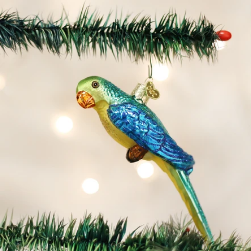 Old World Christmas Parakeet Ornament-Southern Agriculture