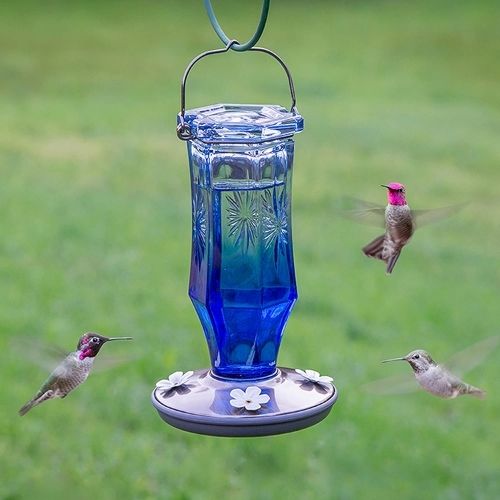 Perky Pet Sapphire Starburst Hummingbird Feeder-Southern Agriculture