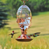 Perky Pet Looking Glass Hummingbird Feeder-Southern Agriculture