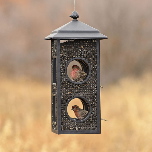Perky Pet Fly-Through Metal Lantern Feeder-Southern Agriculture