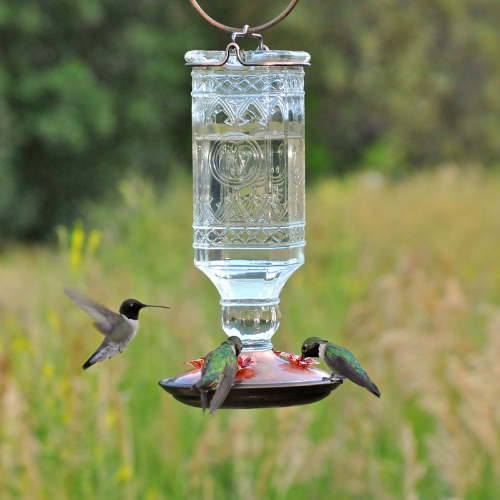 Perky Pet Antique Bottle Hummingbird Feeder-Southern Agriculture