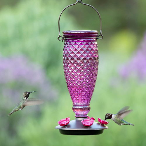 Top Fill Diamond Wine Hummingbird Feeder-Southern Agriculture