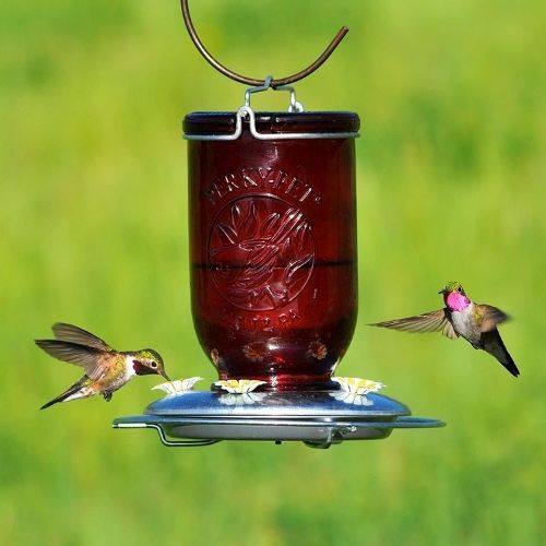 Perky Pet Mason Jar Hummingbird Feeder-Southern Agriculture