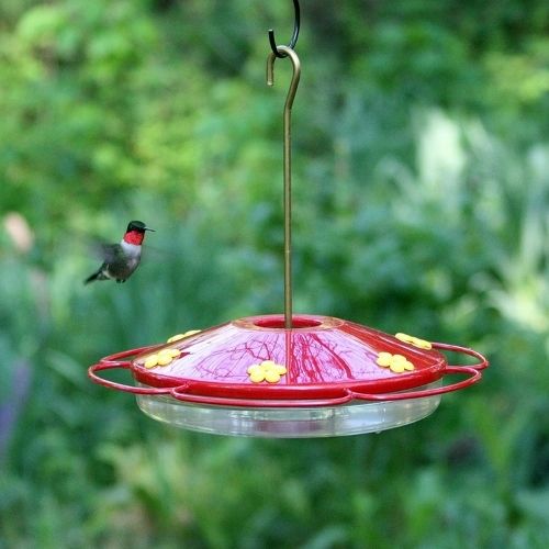 Perky Pet Hummingbird Oasis