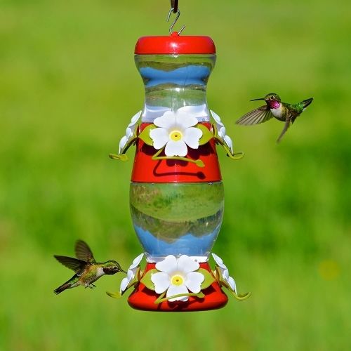 Perky Pet Double Decker Hummingbird Feeder-Southern Agriculture