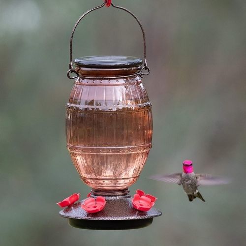 Perky Pet Top Fill Prohibition Glass Hummingbird Feeder-Southern Agriculture