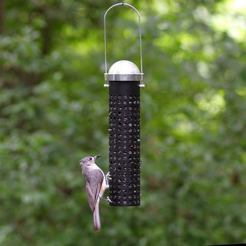 Perky Pet Sunflower Seed and Peanut Wild Bird Feeder-Southern Agriculture