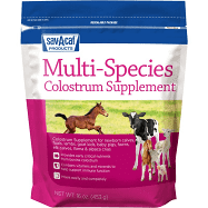 Multi-Species Colostrum Supplement by Sav-A-Caf - Southern Agriculture