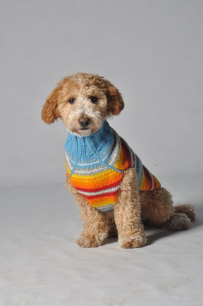 Dog Sweater Turquoise Serape