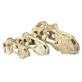 T-Rex Skull Reptile Hideout