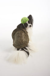 Turtle Shell Pet Costume-Southern Agriculture