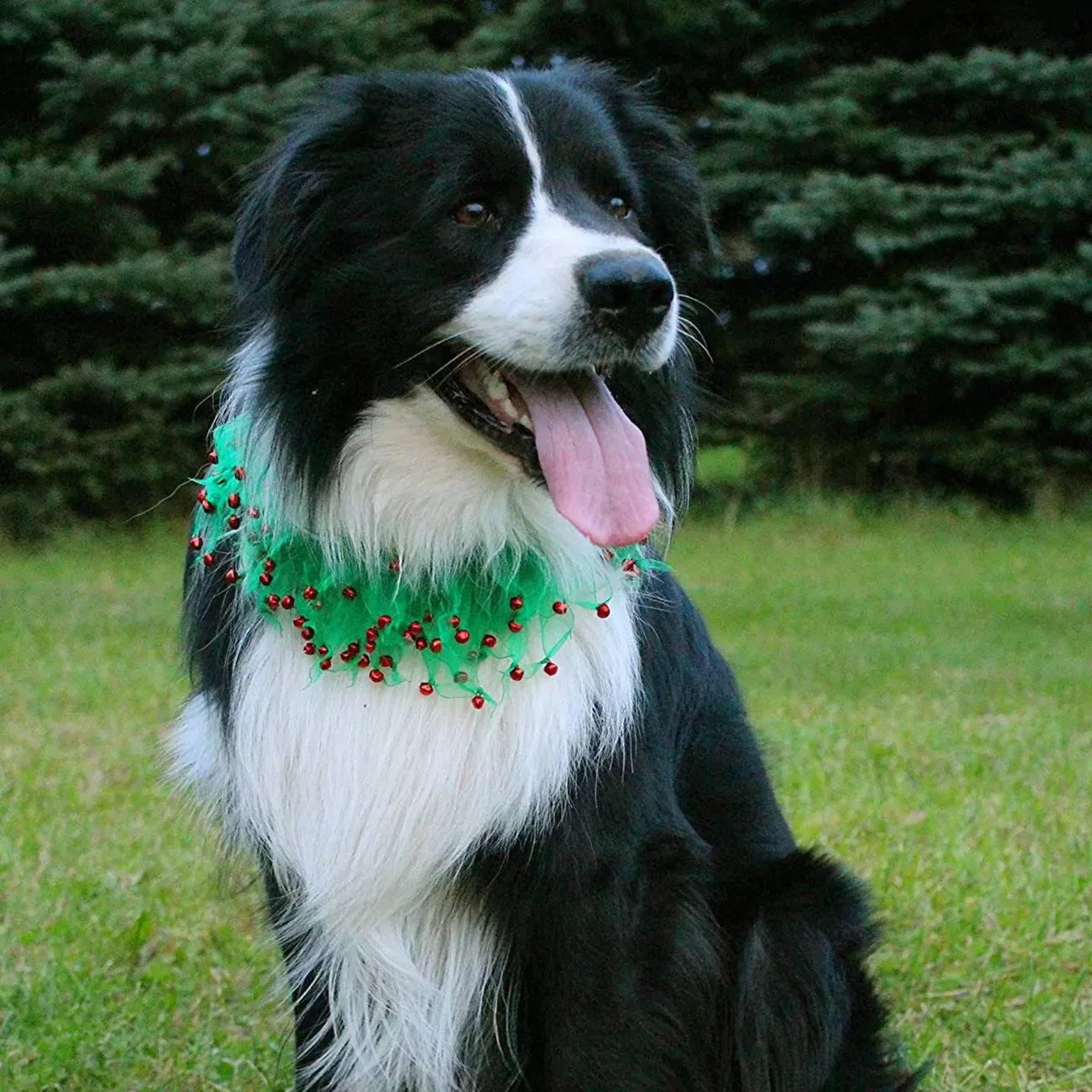 Dog Wreath Collar Green w Red Bells