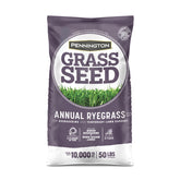 Grass Seed Annual Ryegrass